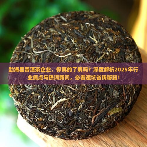 勐海县普洱茶企业