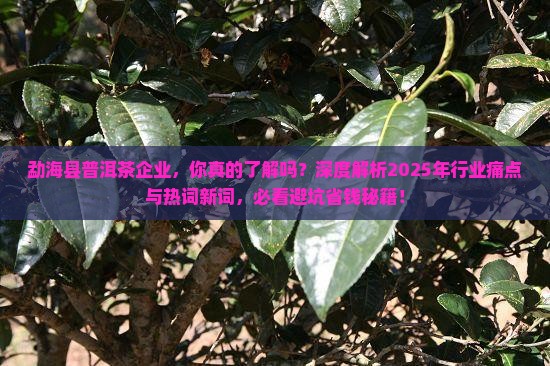勐海县普洱茶企业