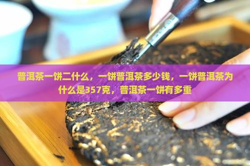 普洱茶一饼二什么