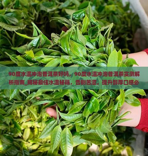 90度水温冲泡普洱茶好吗