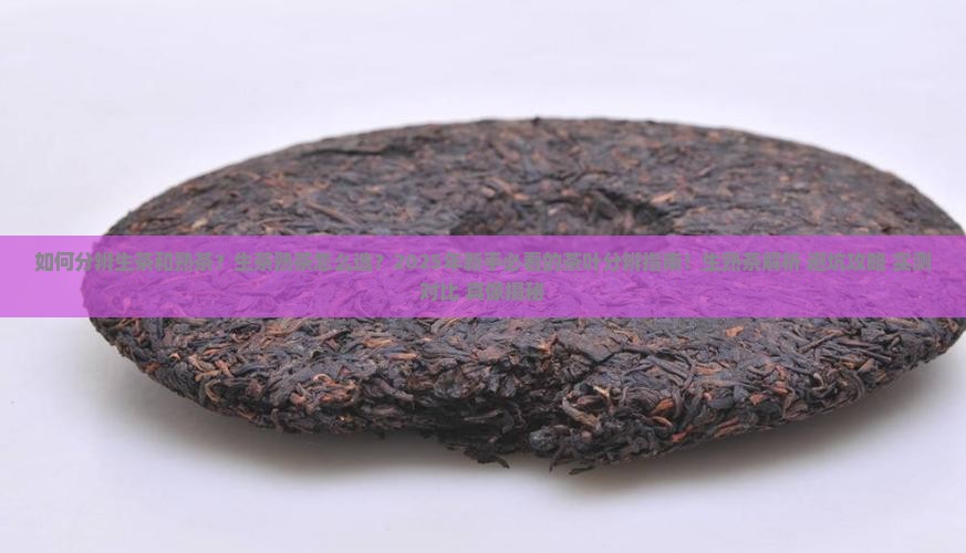 如何分辨生茶和熟茶
