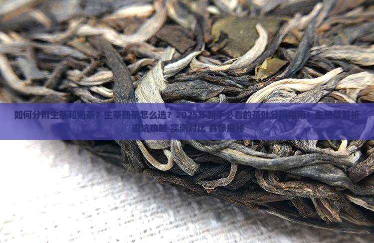 如何分辨生茶和熟茶