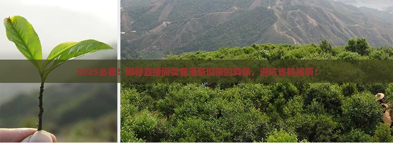 直播间卖普洱茶假茶