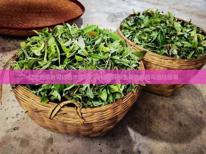 红枣加茶叶可以泡水喝吗
