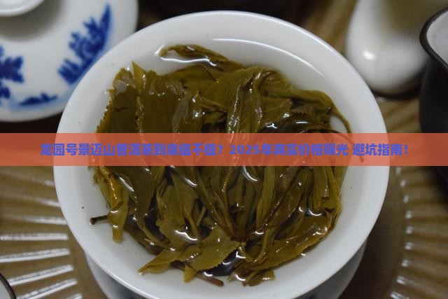 龙园号景迈山普洱茶价格 龙园号景迈山普洱茶价格