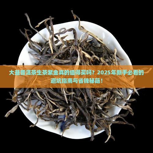 大益普洱茶生茶紫金
