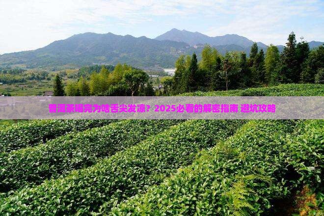 普洱茶喝后舌尖发凉