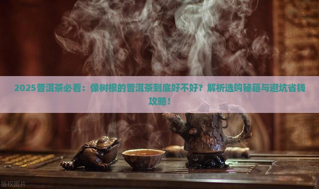 像树根的普洱茶