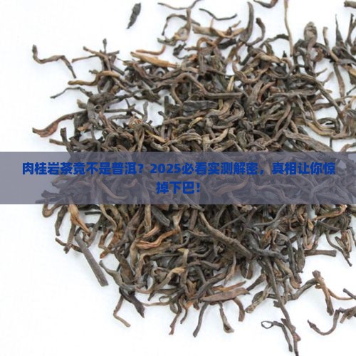 肉桂岩茶是普洱茶吗为什么