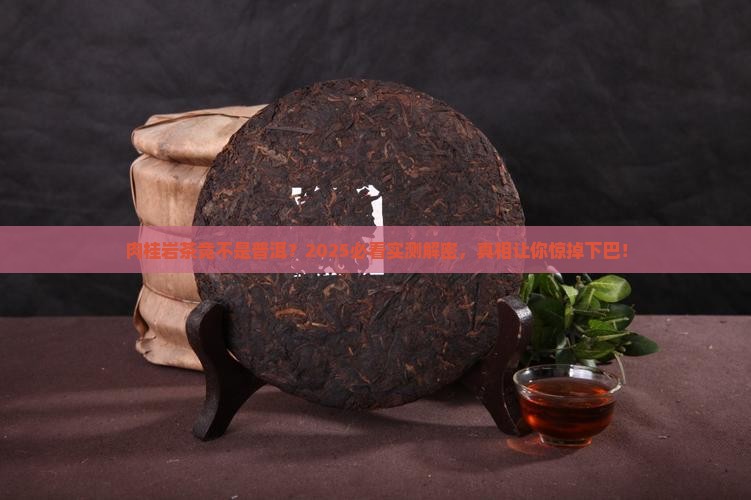 肉桂岩茶是普洱茶吗为什么