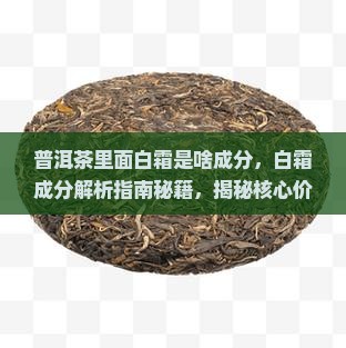 普洱茶里面白霜是啥成分