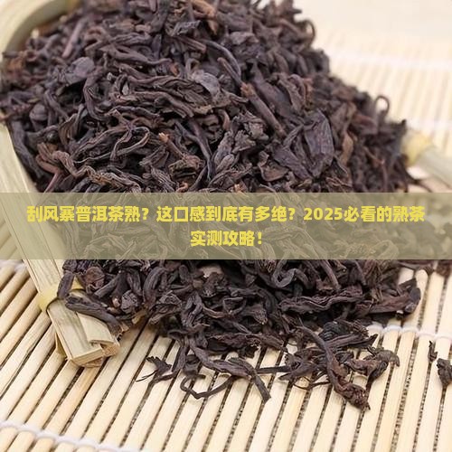刮风寨普洱茶熟