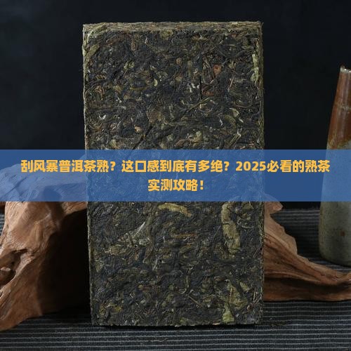 刮风寨普洱茶熟