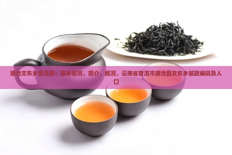 澜沧文东乡普洱茶