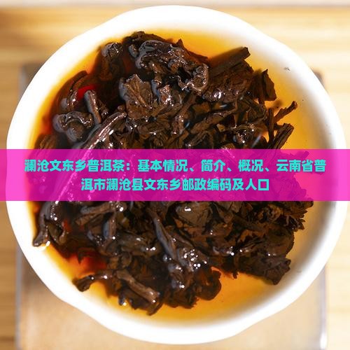 澜沧文东乡普洱茶
