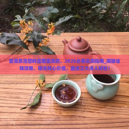 普洱茶泡塑料盒哪里卖的