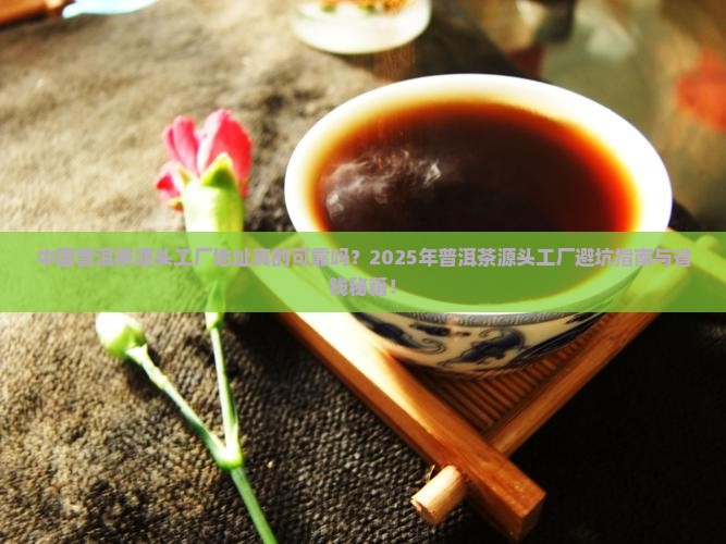 中国普洱茶源头工厂地址