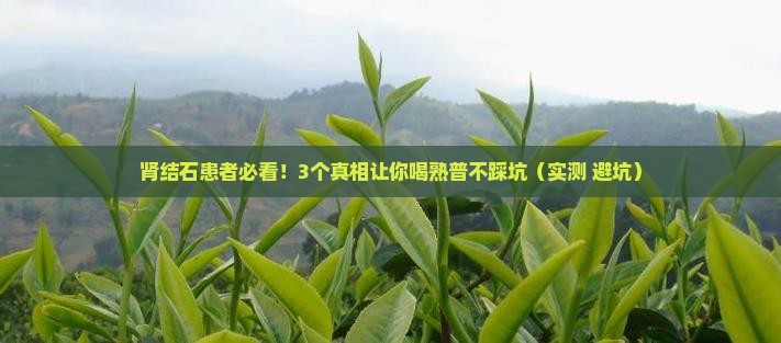 肾结石可以喝熟普吗