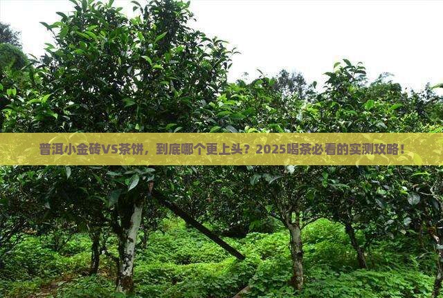普洱小金砖和普洱茶饼哪个好喝