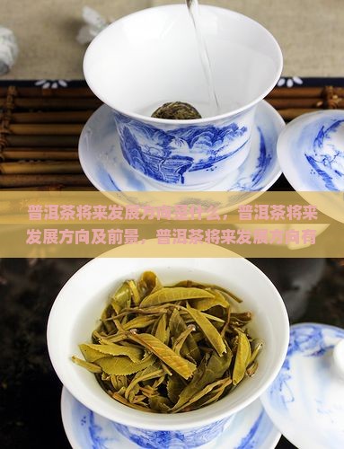 普洱茶将来发展方向