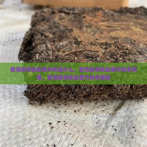普洱茶将来发展方向