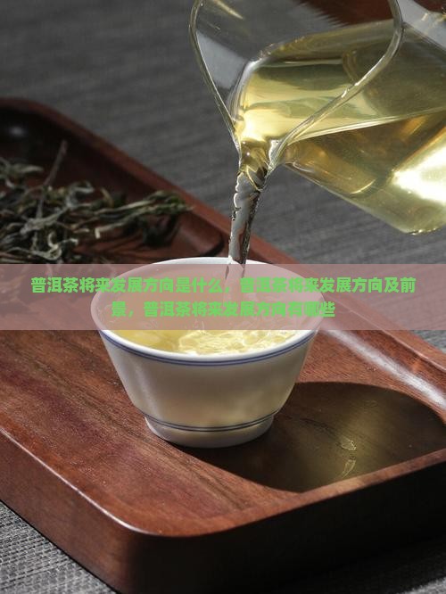 普洱茶将来发展方向