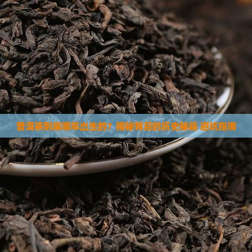 普洱茶那年发明的