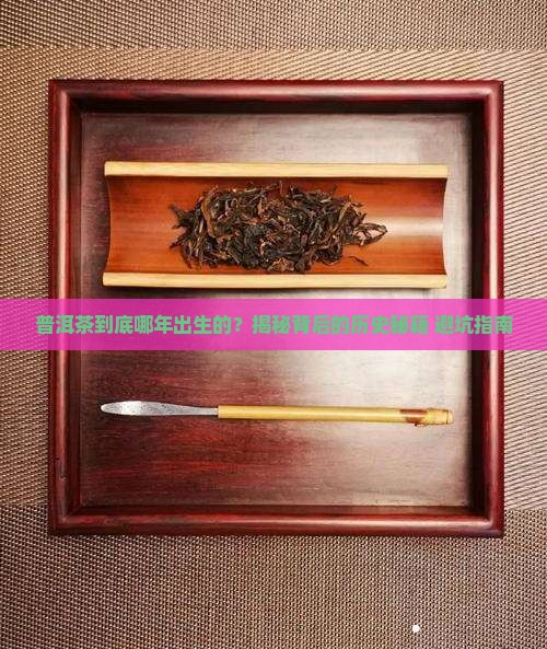 普洱茶那年发明的