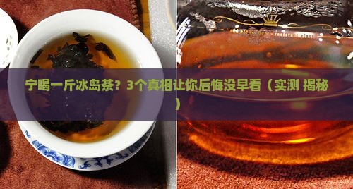 宁喝一斤冰岛茶