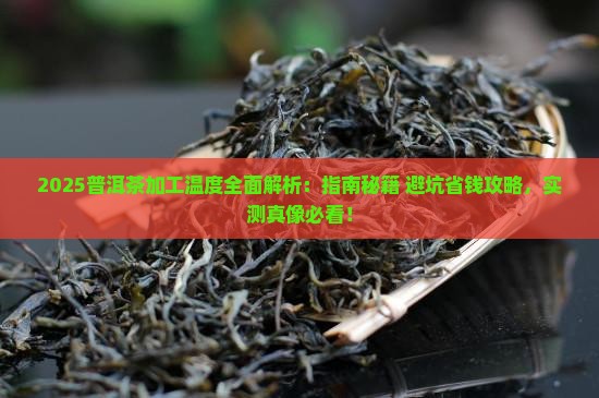 普洱茶加工温度