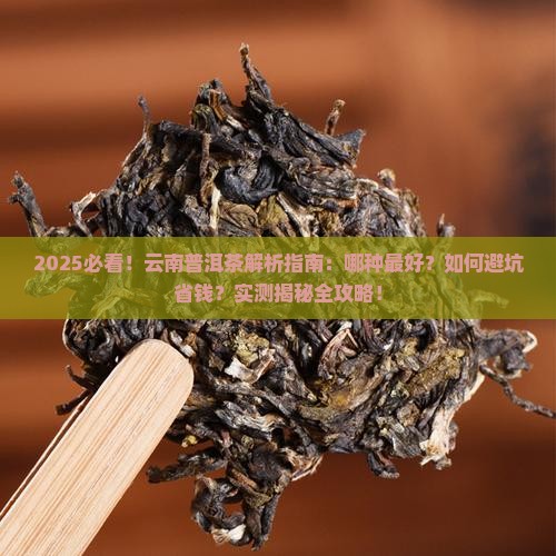 云南茶叶普洱茶哪种好