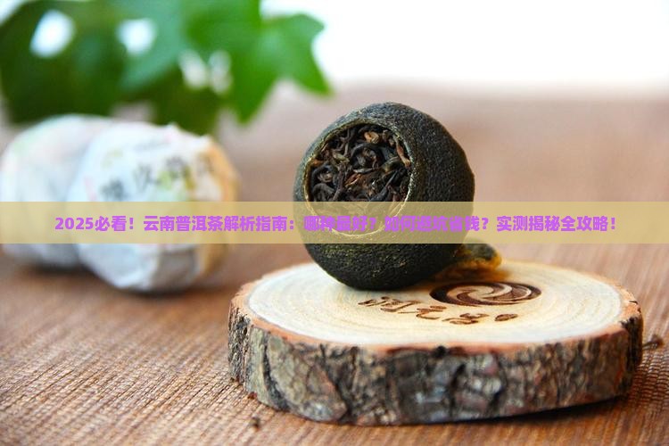 云南茶叶普洱茶哪种好