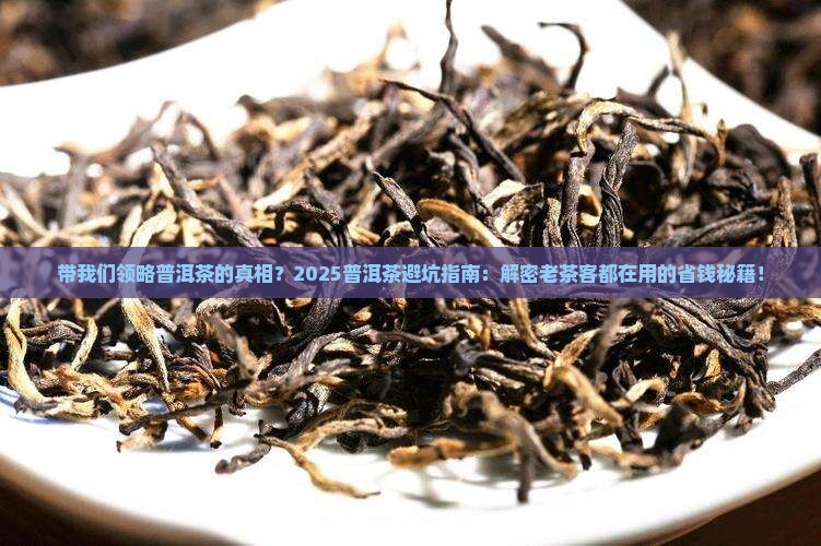 带我们领略普洱茶的
