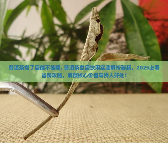 普洱茶煮了后能不能喝