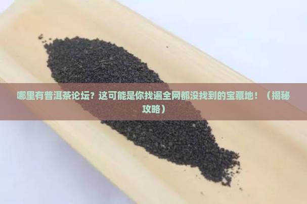 哪里有普洱茶论坛
