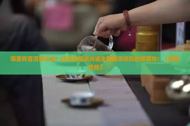 哪里有普洱茶论坛