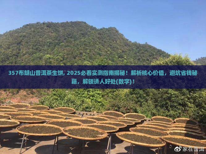 357布朗山普洱茶生饼