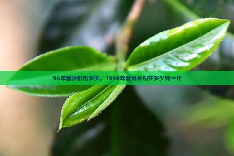 96年普洱价格多少