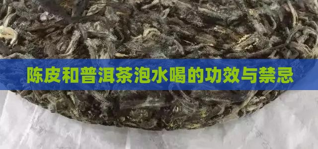 陈皮和普洱茶泡水喝的功效与禁忌