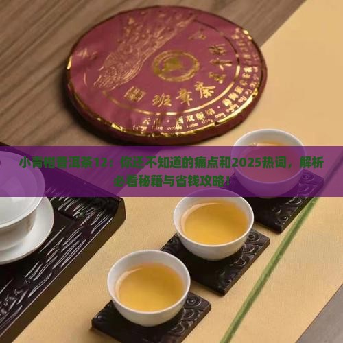 小青柑普洱茶12