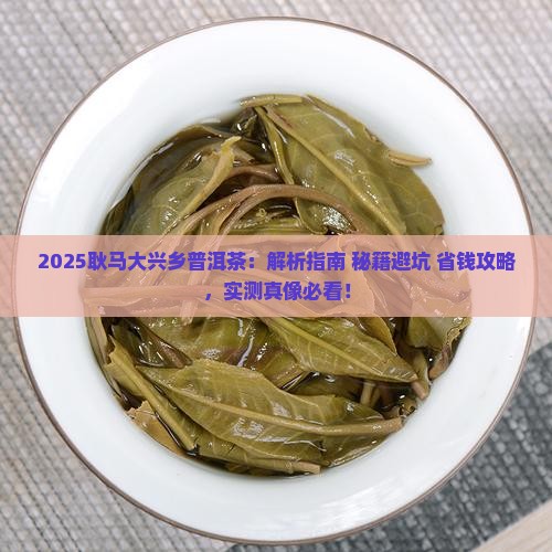 耿马大兴乡普洱茶