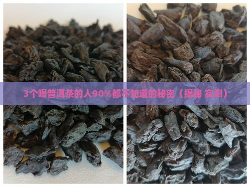 历史记载普洱茶之功效