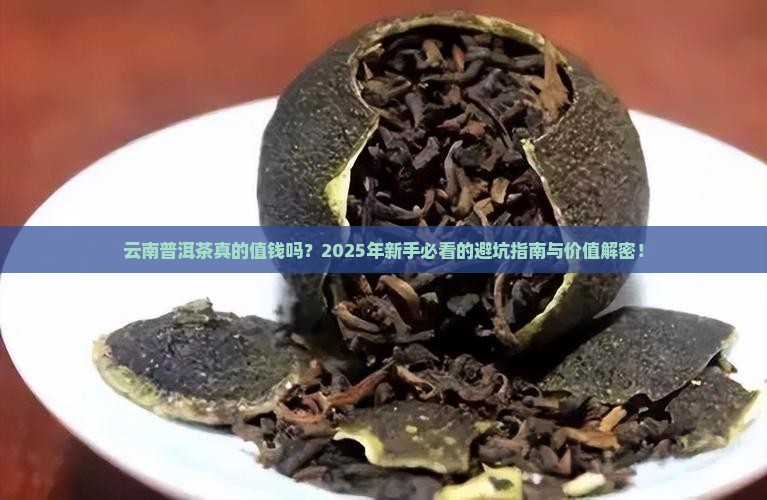 浅谈云南普洱茶的价值