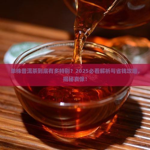 单株普洱茶的意思解释是