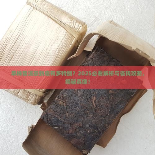 单株普洱茶的意思解释是