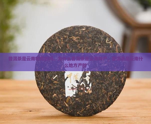 普洱茶是云南特有的吗