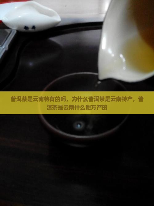普洱茶是云南特有的吗