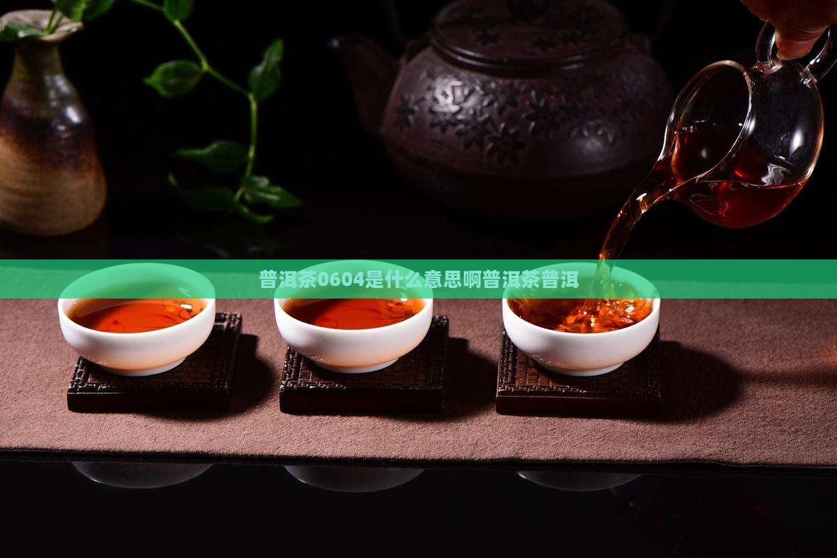 普洱茶0604是什么意思啊