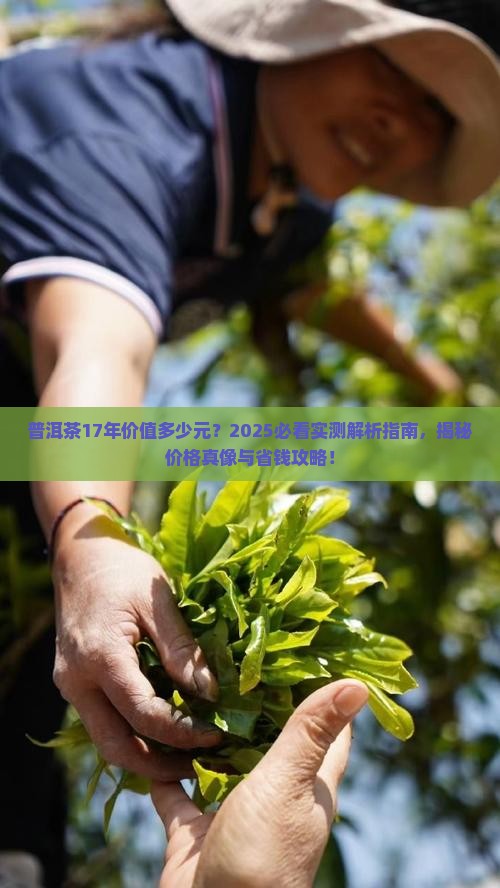 普洱茶17年价值多少元