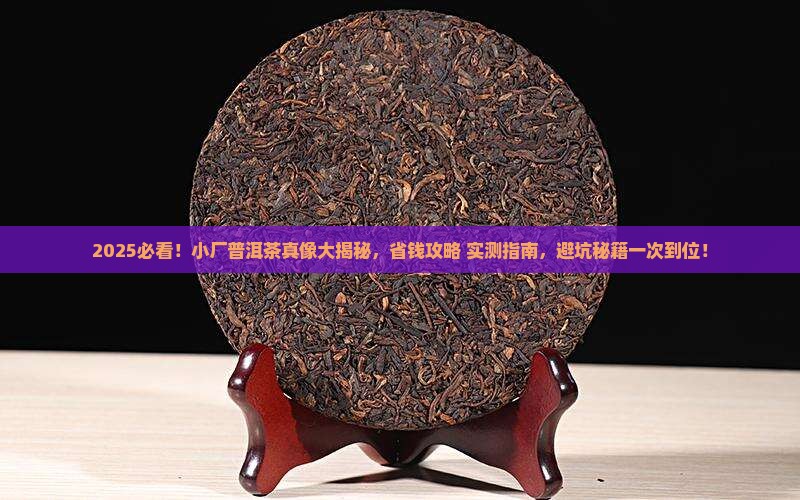 介绍一下小厂普洱茶